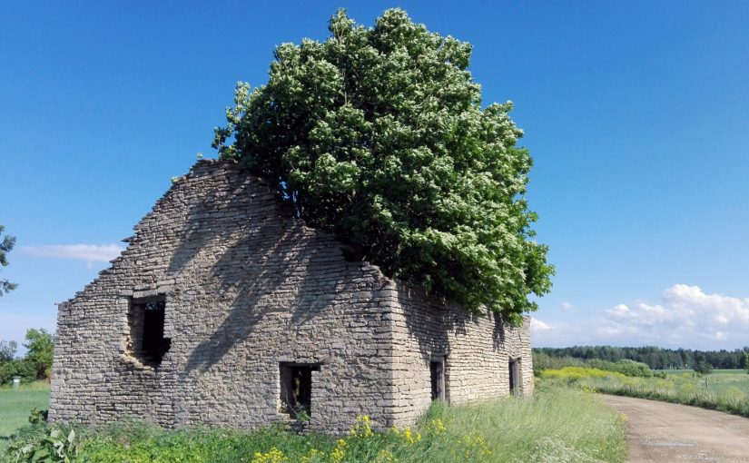 Suuren tuntemattoman äärellä. Hyvinvointi ilman jatkuvaa talouskasvua